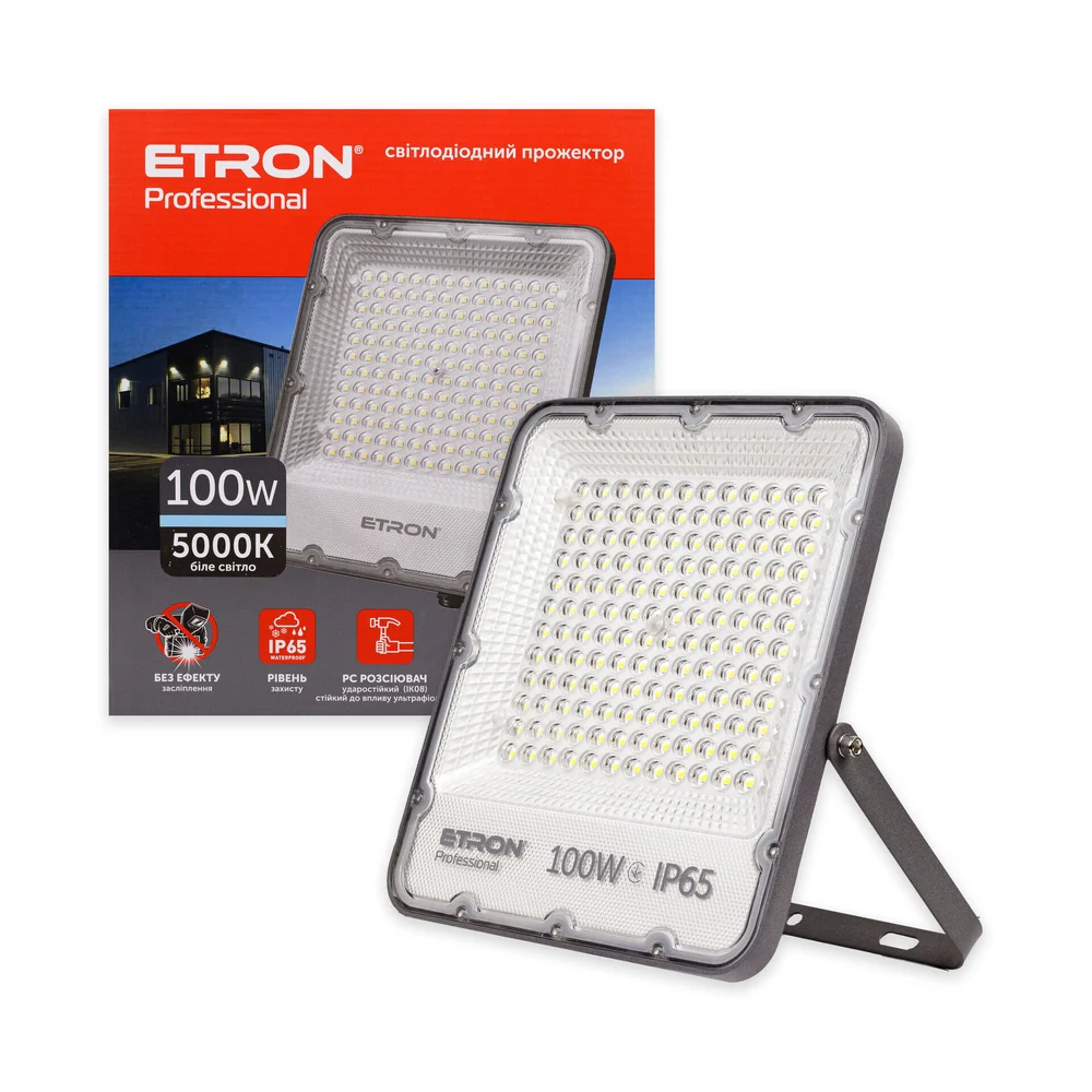 Світлодіодний прожектор ETRON Professional 100W IP65 5000K 1-ESP-234