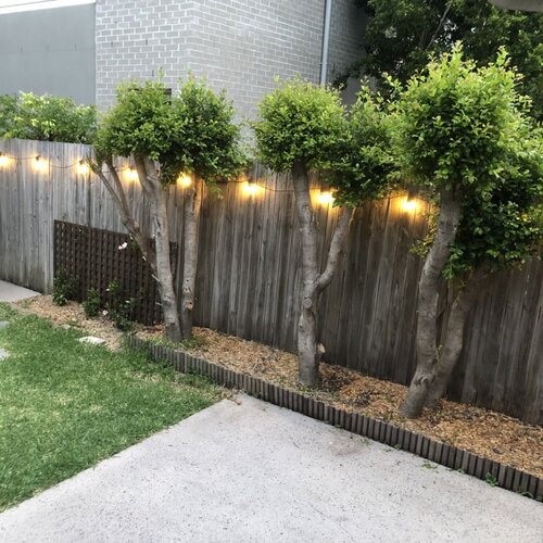 Вулична Гірлянда ETRON 5м 10 Патронів + 10 Філаментних ламп 2W в Комплекті (Колір світла на вибір)